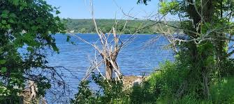 MidlandToday.ca - News update