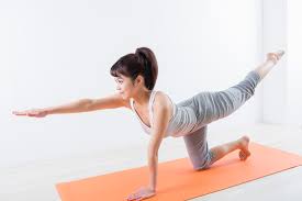 「体幹トレーニング」の画像検索結果