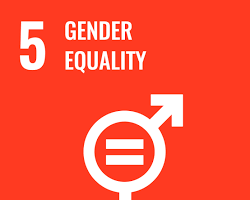 Εικόνα Gender Equality SDG icon