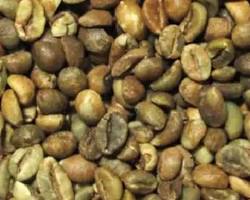 Gambar traditional Sidikalang coffee processing