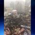 Kids set off fireworks display inside grocery store