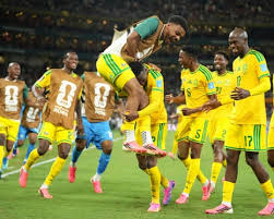 south africa vs south korea