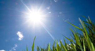 Resultado de imagen de sol