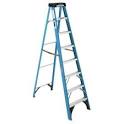 Werner ft step ladder