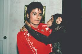 Image result for michael jackson