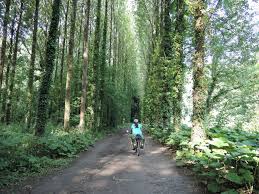Resultado de imagen de cuestas de poco desnivel en bici
