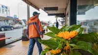 New Zealand Dollar Forecast to Stay Pressured by Commerzbank