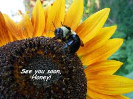 Image result for see you soon