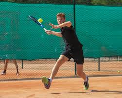 Benoît Paire Crée la Sensation au Tournoi de Tennis de Troyes! - Imagen principal del artículo