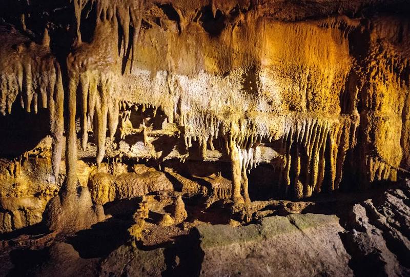 Mammoth Cave National Park