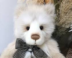 Image of Charlie Bears teddy bear