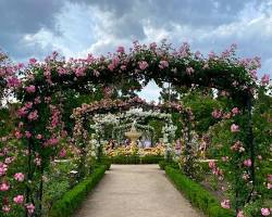 Rosaleda, parque del Retiro de Madrid