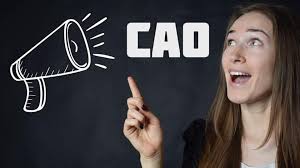 Rijk laat nullijn voor ambtenaren los