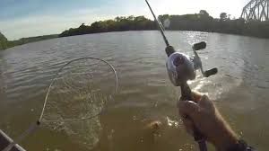 Resultado de imagem para pesca rs