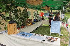 Wilhelma Stuttgart - News update