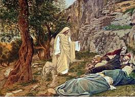 Resultado de imagen de imagenes del prendimiento de jesús en el huerto de los olivos