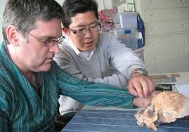 Darren Curnoe (left) and Ji Xueping (right) studying the Longlin skull during 2010 (Photo: Paul Tacon/UNSW). - Stone-Age-Fossils-Of-Red-Deer-Cave-People-Discovered-In-Maludong-China-3