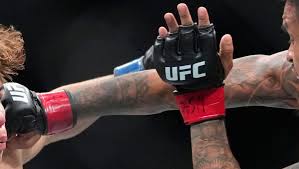 UFC Belgrade: Milos Janicic vs. Noah Gugnon Predictions & Odds