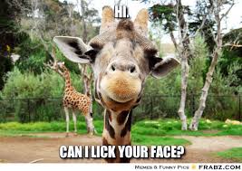 Image result for hi meme
