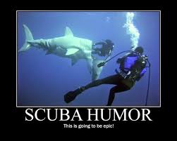 Funny Diving Quotes, Anyone? | Scuba Choice Diving News via Relatably.com