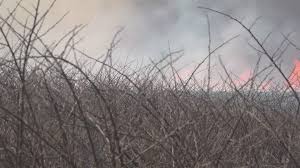 Brush fires flare up across Tennessee Valley amid unusually dry weather