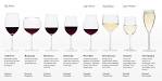 Wine Glass Types Guide Williams-Sonoma