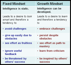 Image result for mindset