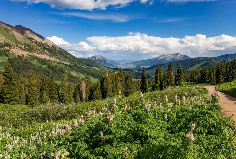 Crested Butte