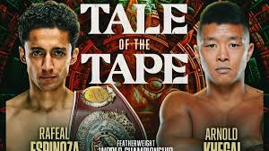 Peleas de box hoy sábado 15 de noviembre: horarios y dónde ver la cartelera completa