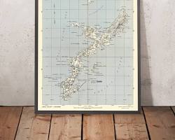 map with pins marking store locations in Naha and Ginowan.の画像