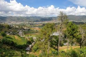 Resultado de imagen para fotos de cultivos en valle nuevo