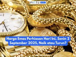 Pintu - News update
