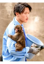 Ichikawa City Zoo and Botanical Gardens | TikTok