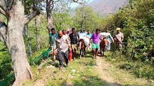 For five voters, polling materials, men moved to remote location on foot and ponies