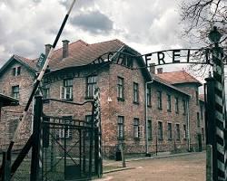 Imagem de AuschwitzBirkenau Memorial and Museum