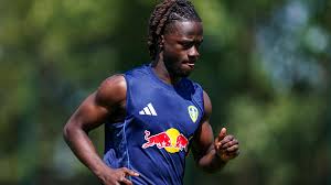 Leeds United - News update