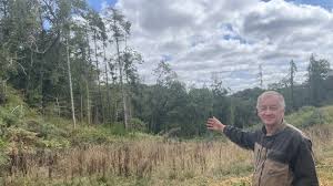REPORTAGE. « Les arbres souffrent aussi » : dans le Finistère, la sécheresse fragilise les cultures forestières — Ouest-France