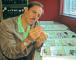 Frank Sulloway