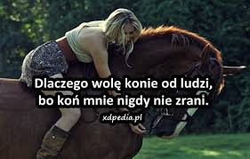 Znalezione obrazy dla zapytania Memy o koniach