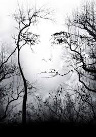 Image result for amazing creativity