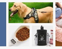 Image of Unique pet accessories dropshipping product