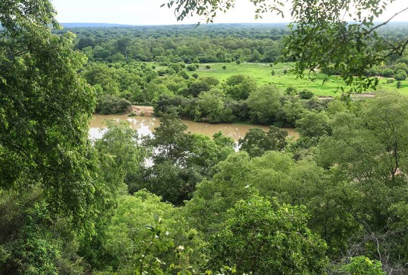 Mole National Park