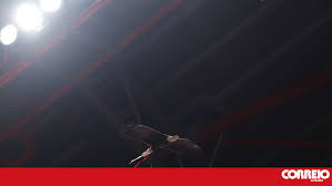 Benfica vs. Casa Pia: Benfica Dem Win, Weather Dey Rough!