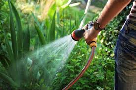 Resultado de imagen de articulos de jardineria