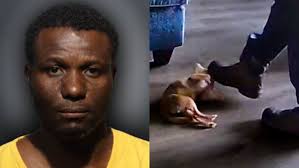 Dog-treat dispenser catches Florida HVAC worker kick homeowner’s dog, police say
