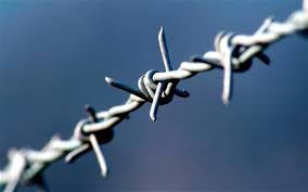 Image result for barbed wire