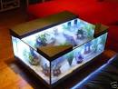 Table basse aquarium : conseils pour acheter sa table basse