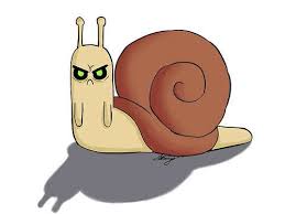 images?q=tbn:ANd9GcRt-9uW-fx0A4iFEjMvHaW4UWHHa59_bMAlrEHO05huEB2W4Ry9