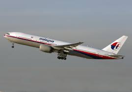 Image result for mh17 wings
