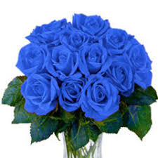 Image result for karangan bunga mawar biru